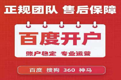 某企业SEM广告投放的转化率提升秘诀